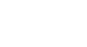 sd-worx wit logo